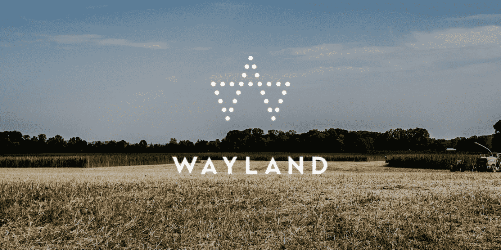 weedsmart_image_wayland