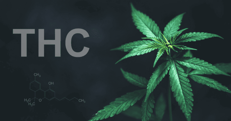 What is THC