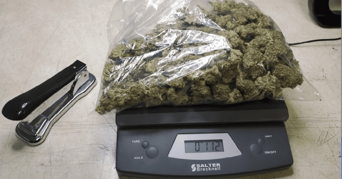 weedsmart_image_How Much Is A Quarter Of Weed