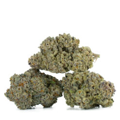 weedsmart_image_LSD-Strain-by-Barneys-Farm-Multi weedsmart_image_LSD-Strain-by-Barneys-Farm-Multi