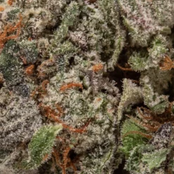 weedsmart_image_LSD (AAA)