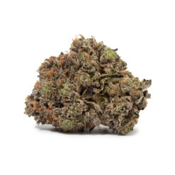 weedsmart_image_Sherbert (AAAA+) weedsmart_image_Sherbert (AAAA+)