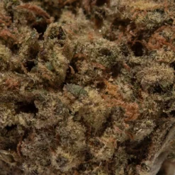 weedsmart_image_Biscotti (AAA) weedsmart_image_Biscotti (AAA)