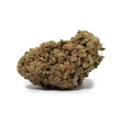 weedsmart_image_Biscotti (AAA) weedsmart_image_Biscotti (AAA)