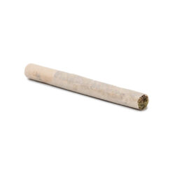 Free Pre-Rolled Joint