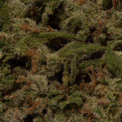 weedsmart_image_Ice Cream Cake (AAA+) weedsmart_image_Ice Cream Cake (AAA+)