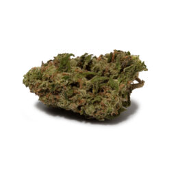weedsmart_image_Ice Cream Cake (AAA+) weedsmart_image_Ice Cream Cake (AAA+)