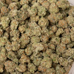 weedsmart_image_Pink Cookies (AAAA+/Popcorn) weedsmart_image_Pink Cookies (AAAA+/Popcorn)