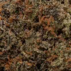 weedsmart_image_Goudaberry (AAAA+)