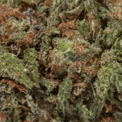 weedsmart_image_Passion Fruit Lemonade (AA/Popcorn) weedsmart_image_Passion Fruit Lemonade (AA/Popcorn)