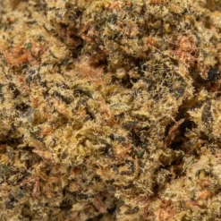 weedsmart_image_Kush Mints (AA/AA+)