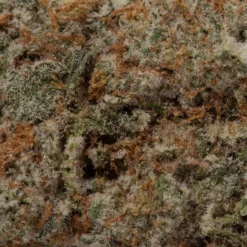 weedsmart_image_Grey Goose (AAAA+)