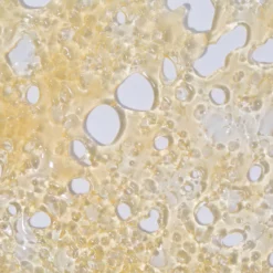 weedsmart_image_House Shatter – Granddaddy Purple (Indica) weedsmart_image_House Shatter – Granddaddy Purple (Indica)