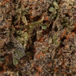 weedsmart_image_Cactus (AAA+) weedsmart_image_Cactus (AAA+)