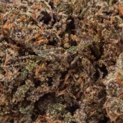 weedsmart_image_Purple Punch (AAA+) weedsmart_image_Purple Punch (AAA+)