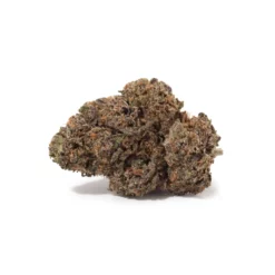 weedsmart_image_Purple Punch (AAA+) weedsmart_image_Purple Punch (AAA+)