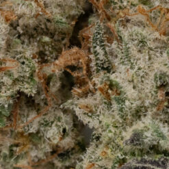 weedsmart_image_Gelato #33 (AAAA+/Popcorn) weedsmart_image_Gelato #33 (AAAA+/Popcorn)