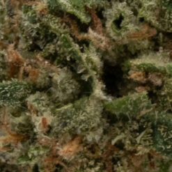 weedsmart_image_Gas Bomb (AAAA/Popcorn) weedsmart_image_Gas Bomb (AAAA/Popcorn)