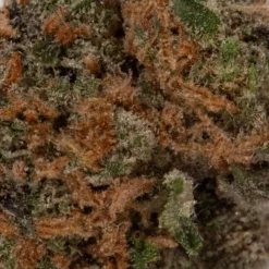 weedsmart_image_Lemon Skunk (AA/Popcorn) weedsmart_image_Lemon Skunk (AA/Popcorn)