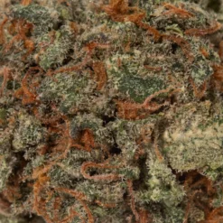 weedsmart_image_Cherry Mints (AA+/Popcorn) weedsmart_image_Cherry Mints (AA+/Popcorn)