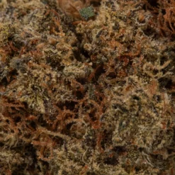 weedsmart_image_Alien OG (AAA+) weedsmart_image_Alien OG (AAA+)