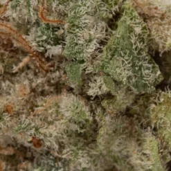 weedsmart_image_Mac 1 (AAAA+/Popcorn) weedsmart_image_Mac 1 (AAAA+/Popcorn)