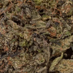 weedsmart_image_9LB Hammer (AAAA)