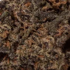 weedsmart_image_Diablo (AAA+) weedsmart_image_Diablo (AAA+)