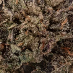 weedsmart_image_Girl Scout Cookies (AAAA/Popcorn) weedsmart_image_Girl Scout Cookies (AAAA/Popcorn)