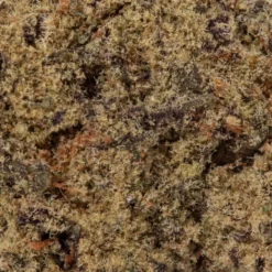 weedsmart_image_God Bud (AAAA+/Popcorn) weedsmart_image_God Bud (AAAA+/Popcorn)