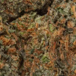 weedsmart_image_Apple Mintz (AA/Popcorn) weedsmart_image_Apple Mintz (AA/Popcorn)