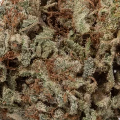 weedsmart_image_Trainwreck (AAA+) weedsmart_image_Trainwreck (AAA+)