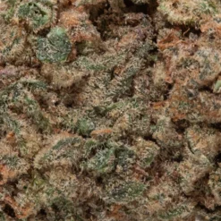 weedsmart_image_Cereal Milk (AAA) weedsmart_image_Cereal Milk (AAA)