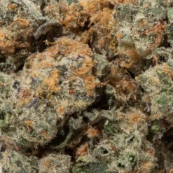 weedsmart_image_Citrus Skunk (AAA) weedsmart_image_Citrus Skunk (AAA)