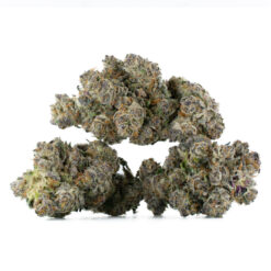 weedsmart_image_Candy-Store-Strain-Multi-768x768 weedsmart_image_Candy-Store-Strain-Multi-768x768