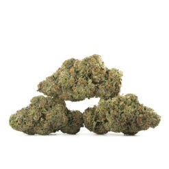 weedsmart_image_French-Macaron-Strain-Multi-768x768 weedsmart_image_French-Macaron-Strain-Multi-768x768