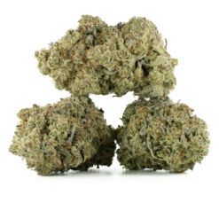 weedsmart_image_Galactic-Gas-Strain-1 weedsmart_image_Galactic-Gas-Strain-1