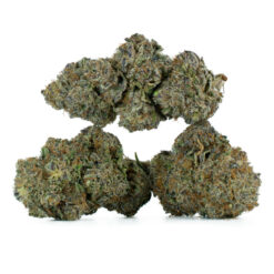 weedsmart_image_Grape-Gasoline-Strain-Multi-2-768x768 weedsmart_image_Grape-Gasoline-Strain-Multi-2-768x768