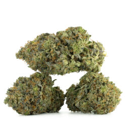 weedsmart_image_Greasy-Death-Bubba-Strain-Multi-4 weedsmart_image_Greasy-Death-Bubba-Strain-Multi-4