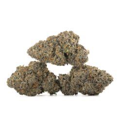 weedsmart_image_Midnight-Runtz-Strain-Multi-768x768 weedsmart_image_Midnight-Runtz-Strain-Multi-768x768