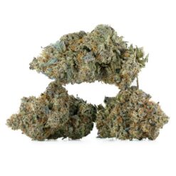 weedsmart_image_Permanent-Market-Strain-Multi-768x768 weedsmart_image_Permanent-Market-Strain-Multi-768x768