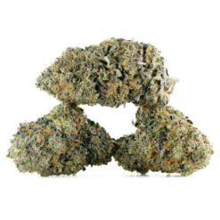 weedsmart_image_Tuna-God-Strain-Multi-768x768 weedsmart_image_Tuna-God-Strain-Multi-768x768