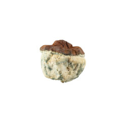 weedsmart_image_bluey-vuitton weedsmart_image_bluey-vuitton