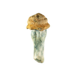 weedsmart_image_code-blue weedsmart_image_code-blue