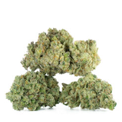 weedsmart_image_Banana-Runtz-Strain-Multi weedsmart_image_Banana-Runtz-Strain-Multi