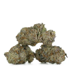 weedsmart_image_Blueberry-by-DJ-Short-Strain-Multi-2