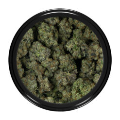 weedsmart_image_Coastal Pink Kush 2 weedsmart_image_Coastal Pink Kush 2