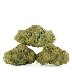 weedsmart_image_Jack-Herer-Strain-Multi-2 weedsmart_image_Jack-Herer-Strain-Multi-2