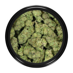 weedsmart_image_Lemon-Haze-Strain-(Bag) weedsmart_image_Lemon-Haze-Strain-(Bag)
