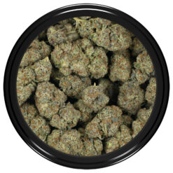 weedsmart_image_Blueberry Bomb (AAA) 2 weedsmart_image_Blueberry Bomb (AAA) 2